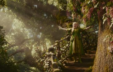 Fairy stood on steps surrounding tree.