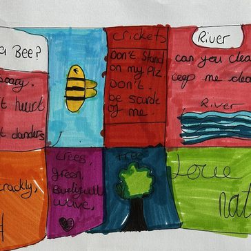 Hand-drawn boxes on paper containing small illustrations and text, including bees, bridges, a river, and trees.