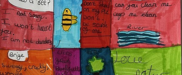 Hand-drawn boxes on paper containing small illustrations and text, including bees, bridges, a river, and trees.